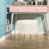 Indoor Vanity Desk Footrest Stool Storage Ottomans